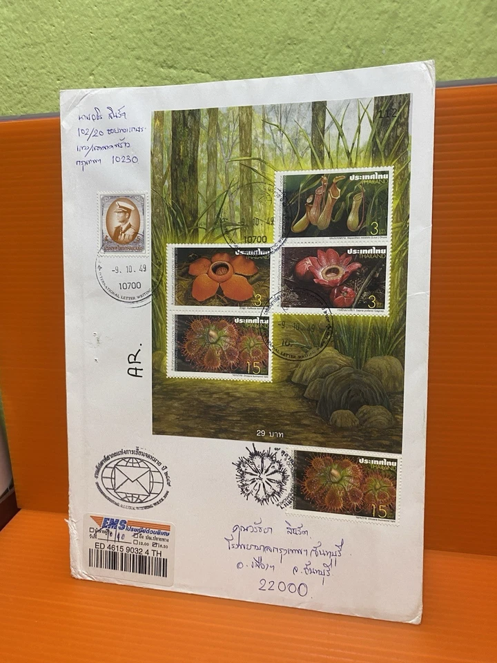 Thailand 2006 Flora Stamp Sheet EMS Mail Local Use Commemorative Free Shipping - Image 3 of 4