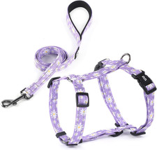 Dog Harness Leash Set, No Pull Adjustable Halter Cute Comfort Padded Handle for