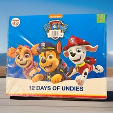 12 Pack PAW PATROL Toddler Boys Size 2T/3T Potty Training Underwear Briefs