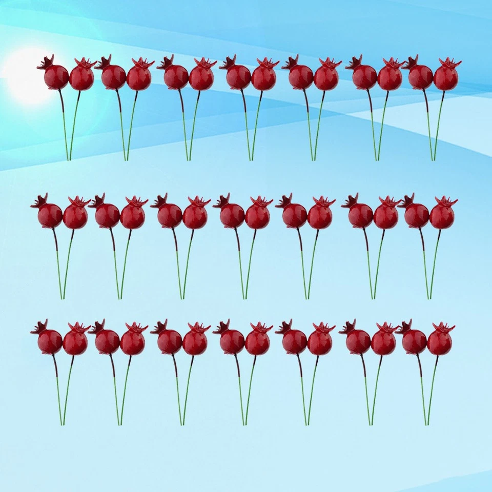  50 Pcs Granatapfel Deko Naturgetreue Fruchtdekoration Gartendekoration - Bild 3 von 4