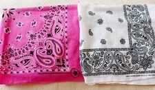 VTG RN 15197 Hav-A-Hank Western Paisley Pink & RN 13962 Scarf Bandana 20" x 20"