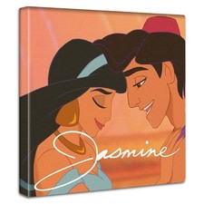 Disney Aladdin Jasmine Aladdin Art Panel 30cm Fabric Japan