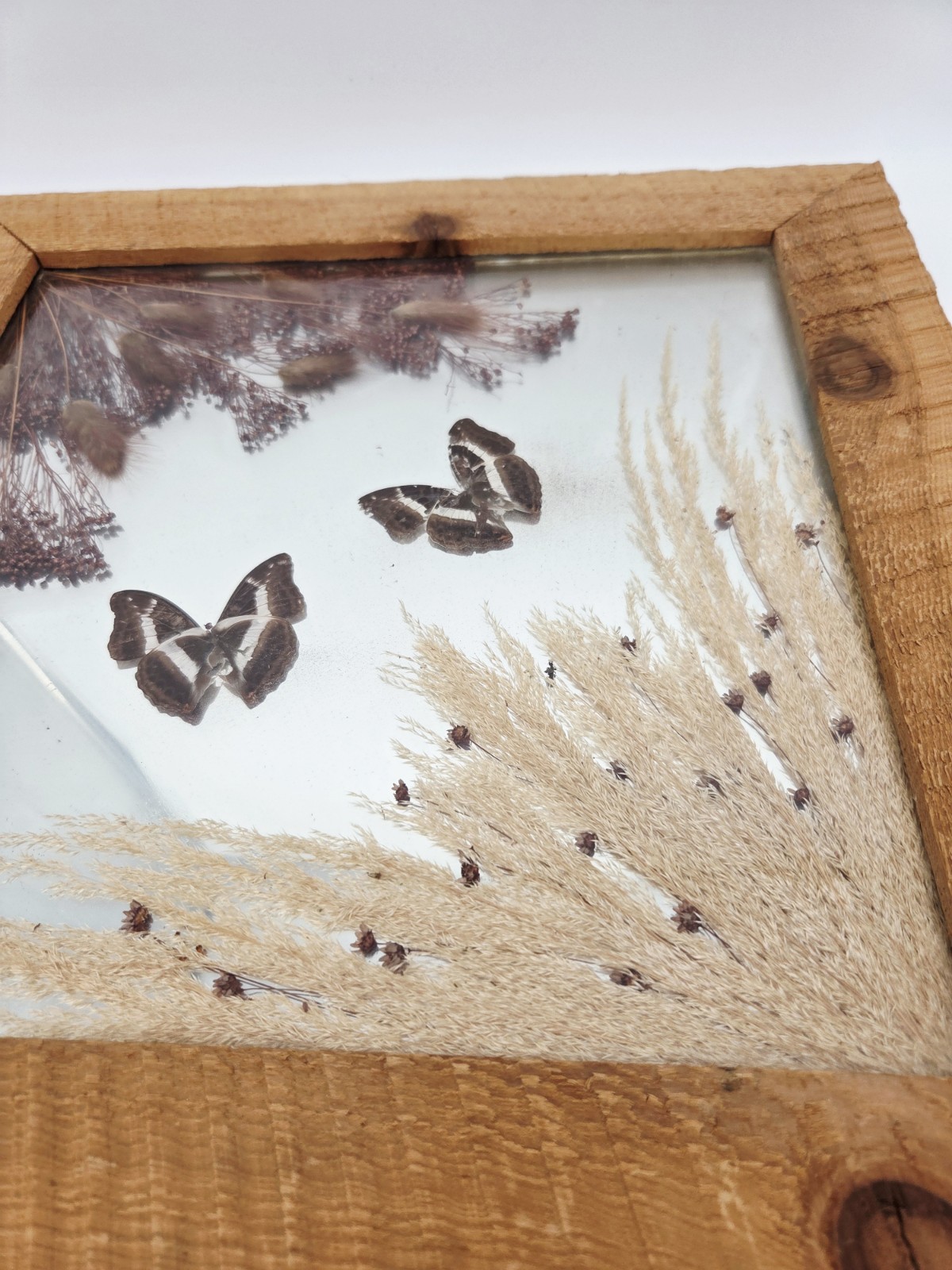 Vintage Taxidermy Mirror 15x15 Real Butterfly Brown Grass Wheat Dried ...