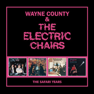 #ad Wayne County amp; the Electric Chairs Safari Years New CD UK Import $28.57