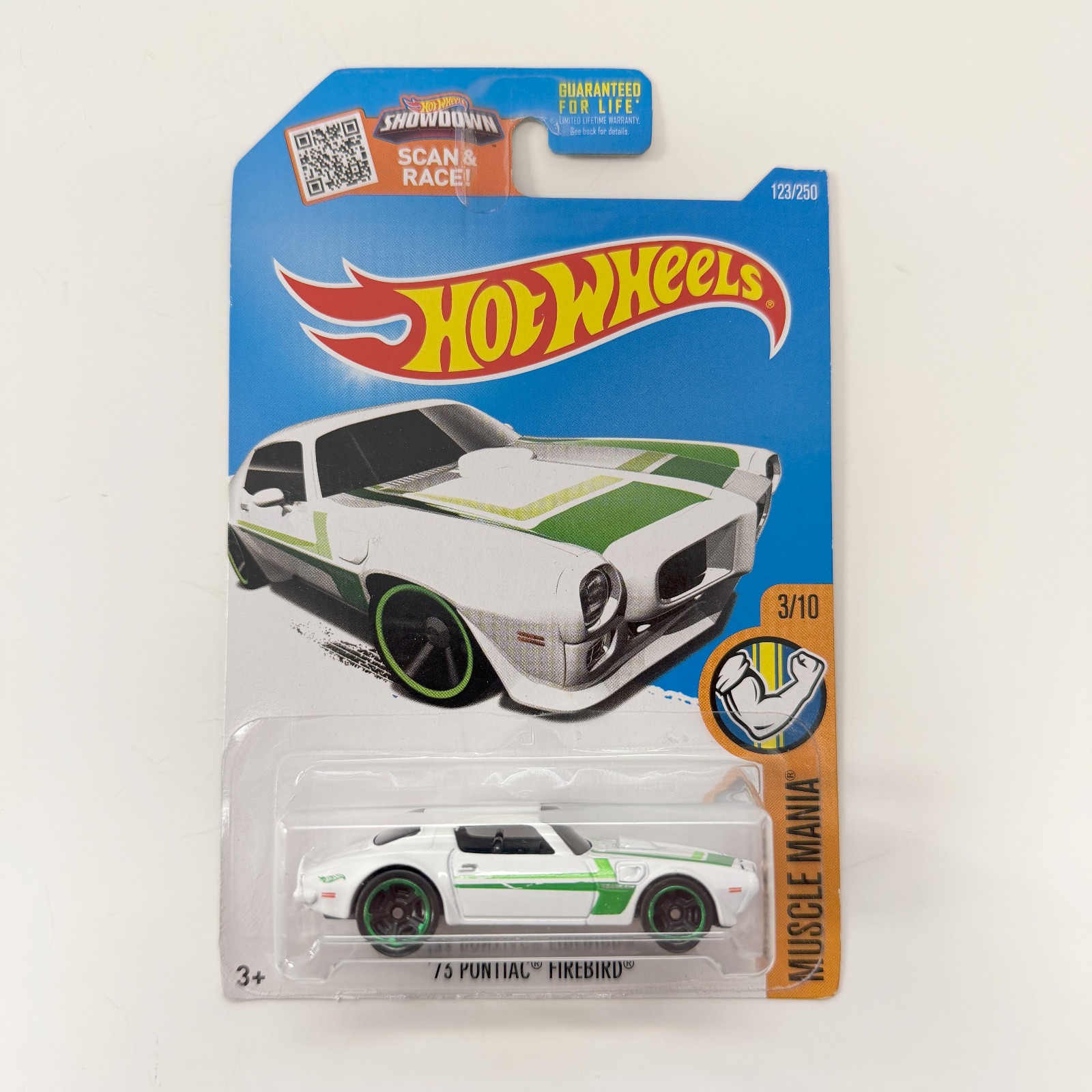 Hot Wheels Muscle Mania '73 Pontiac Firebird 123/250