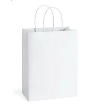 25Pcs Gift Bags 8X4.25X10.5 Paper Gift Bags with Handles Bulk, White Kraft Paper