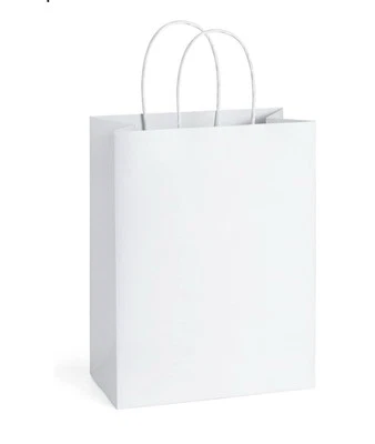 25Pcs Gift Bags 8X4.25X10.5 Paper Gift Bags with Handles Bulk, White Kraft Paper