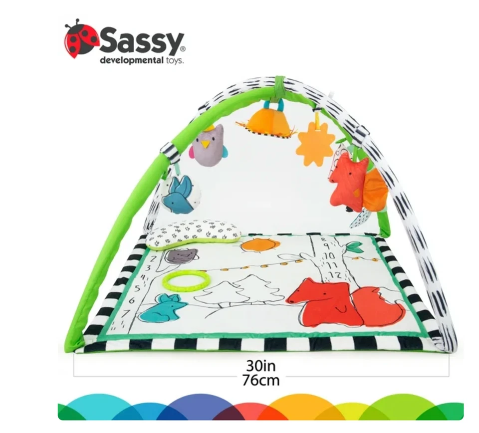 Sassy Baby Gone Campin' Woodland Sensory Baby Play Gym con toldo ~ ENVÍO RÁPIDO Foto 2 de 4
