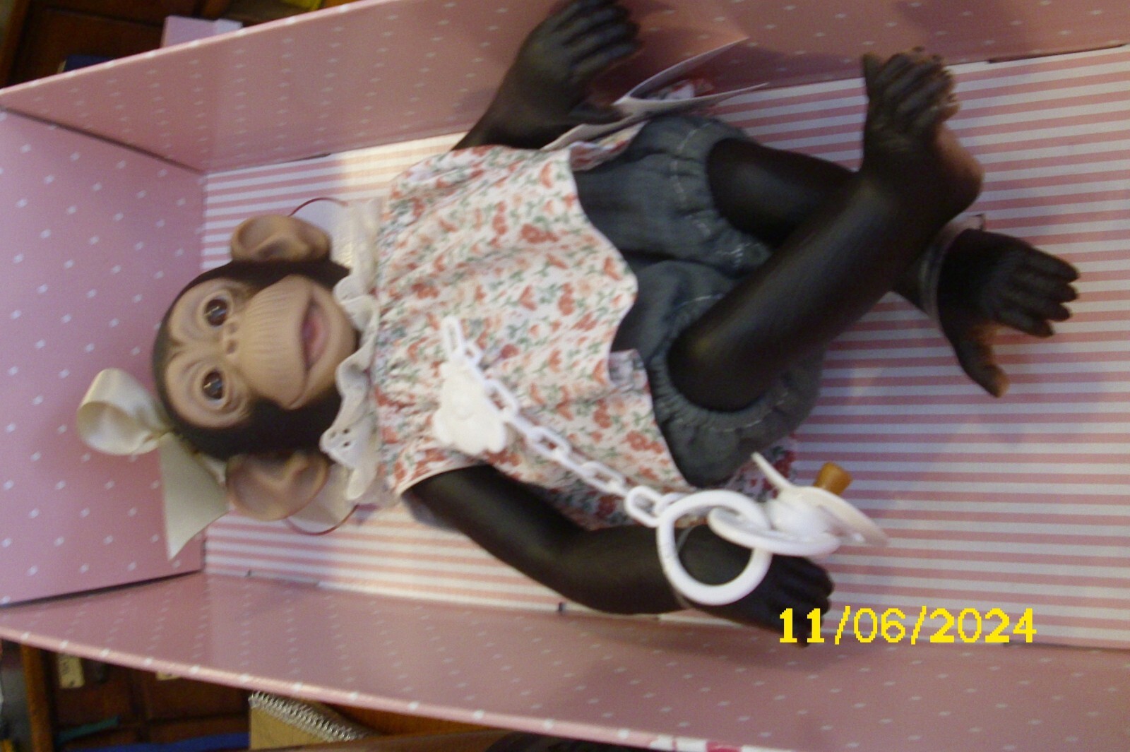 Bild 2 von 3