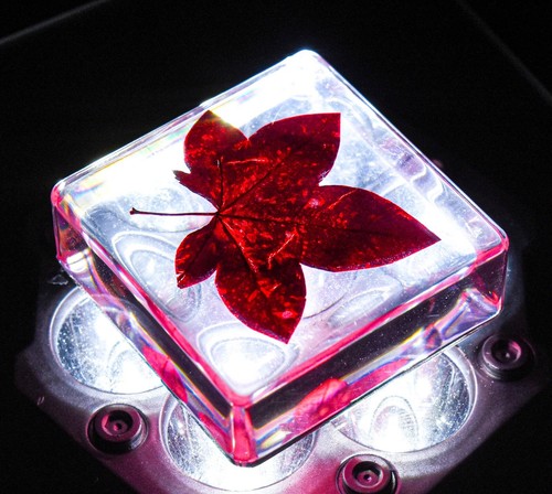 One 38mm Red Maple Leaf in Clear Resin Botany Herb Science Education Specimen - Picture 2 of 6