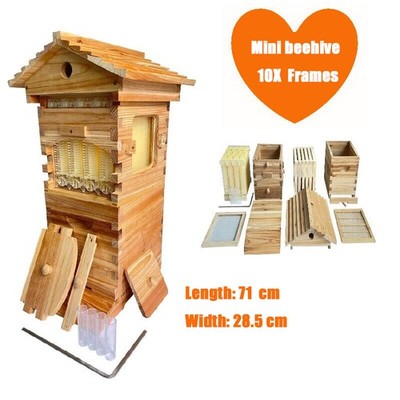 Beehive Wooden House Auto Shed Tiny Brood Bee Hives 10x Honey Frames Beekeeping