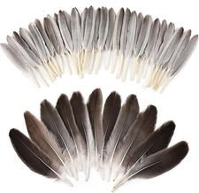iHUFeather 270pcs Natural Gray Goose Feathers for Crafts 2