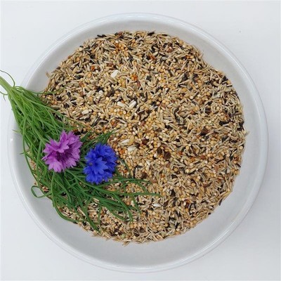 Bird-Box Sperlingspapageienfutter Inhalt 2,5 kg