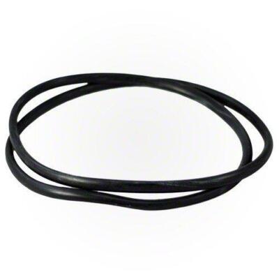Zodiac Tank O-Ring for CV Series (R0357800)
