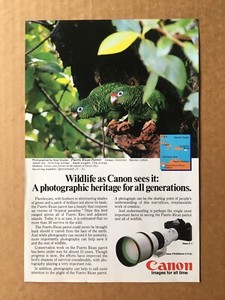 1983 CANON F-1 / FD500mm f/4.5L CAMERA PR Parrot Original Print Ad, 6 5/8"x10"