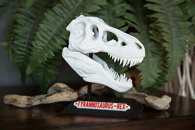 T-Rex Skull 3D Printed High Quality - Tyrannosaurus Rex T-Rex Skull 3D Printed High Quality - Tyrannosaurus Rex