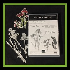 Stampin Up NATURE'S HARVEST Stamp Set HARVEST Dies - super dies 95
