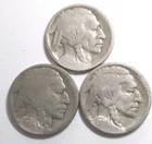 !! RARE Key Date Set  1913-S Type 2 + 1915-s + 1921-s Buffalo Nickels Acid Dates