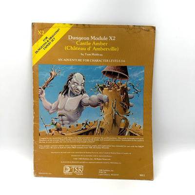 Dungeons & Dragons Expert Set Dungeon Module X2 Castle Amber #9051