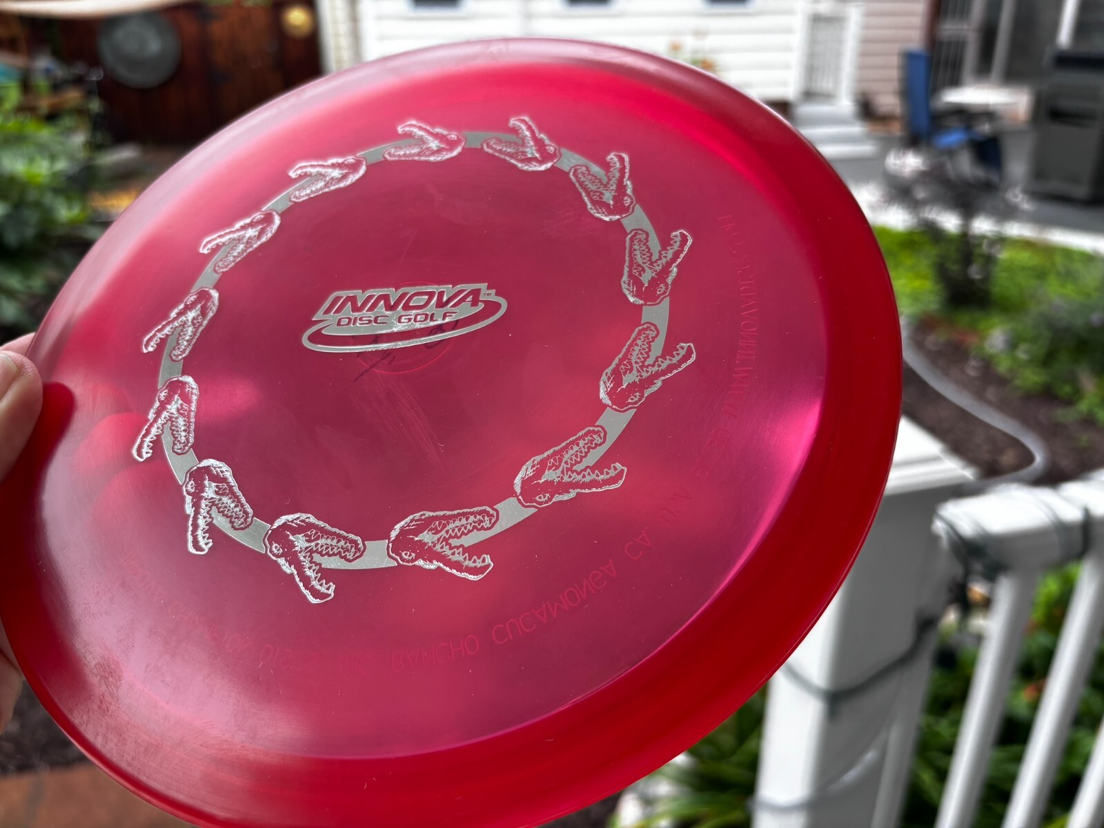 Disc Golf Innova Champion Gator (Ring of Gators) Penned PFN (Free Returns) #3968 - Thumbnail 8
