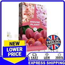 10L House Plant Compost With Added Nutrients For Healthy Leaves & Plants