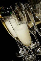 1 Sektglas Schott Zwiesel Serie Classico 8213/7 Champagner- + Sekt-Glas 106223