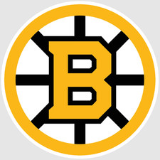 Weather Resistant Vinyl Sticker - Boston Bruins 02