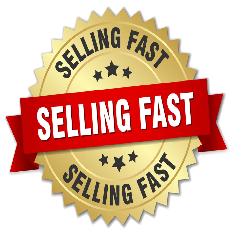 Jungle - For Ever [CD] - Image 3 of 4