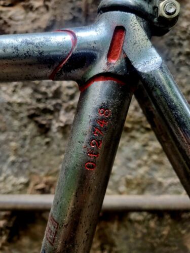 Bicicleta Frejus Pista 1948 vintage - Imagen 12 de 13