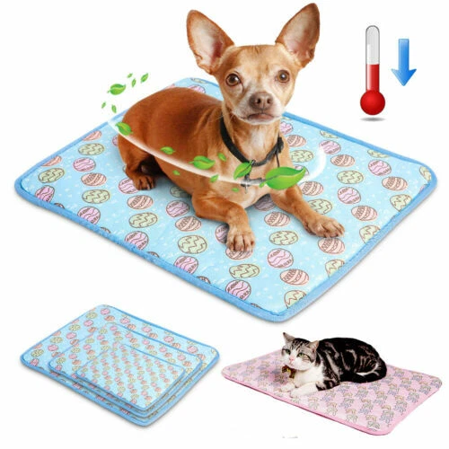 Lettini materassi per cani