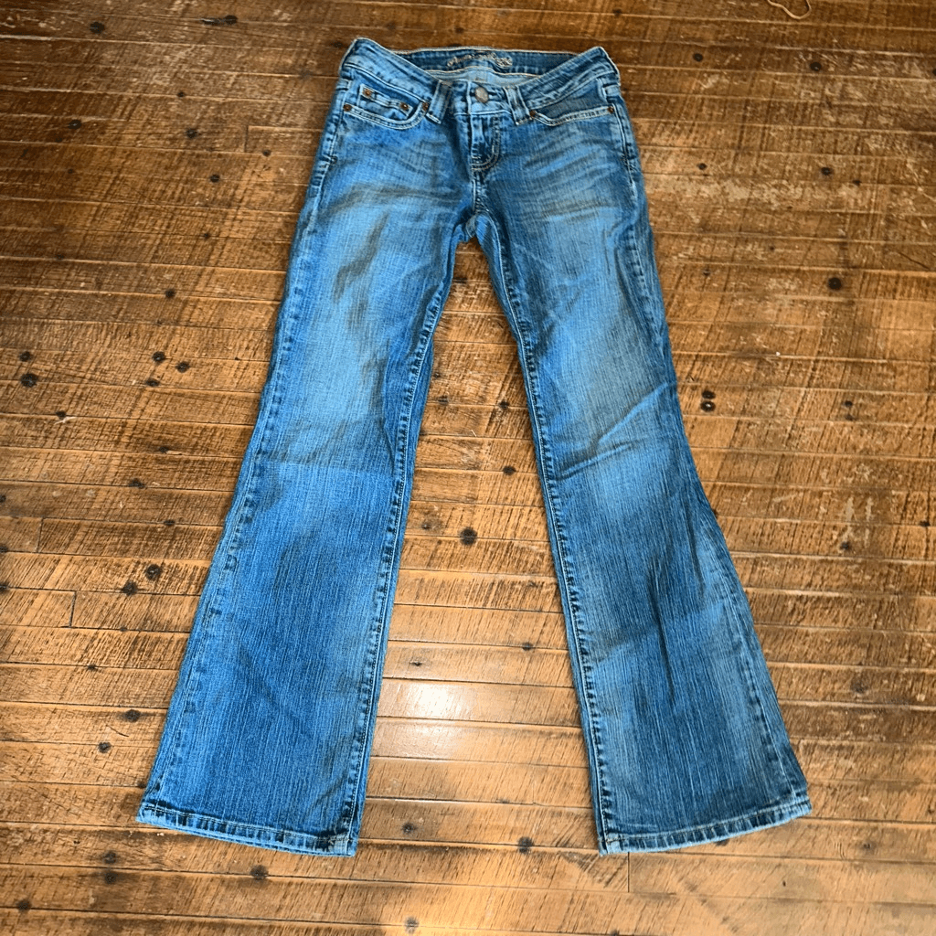 American Eagle vintage Boyfriend 77 distressed jeans