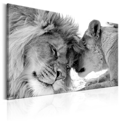 Löwe Tiere Abstrakt Grau VLIES LEINWAND DEKO BILDER WANDBILD XXL WOHNZIMMER