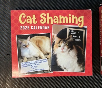 2025 Cat Shaming Day-At-A-Time Box Calendar by by Andrews McMeel Publishin *Read