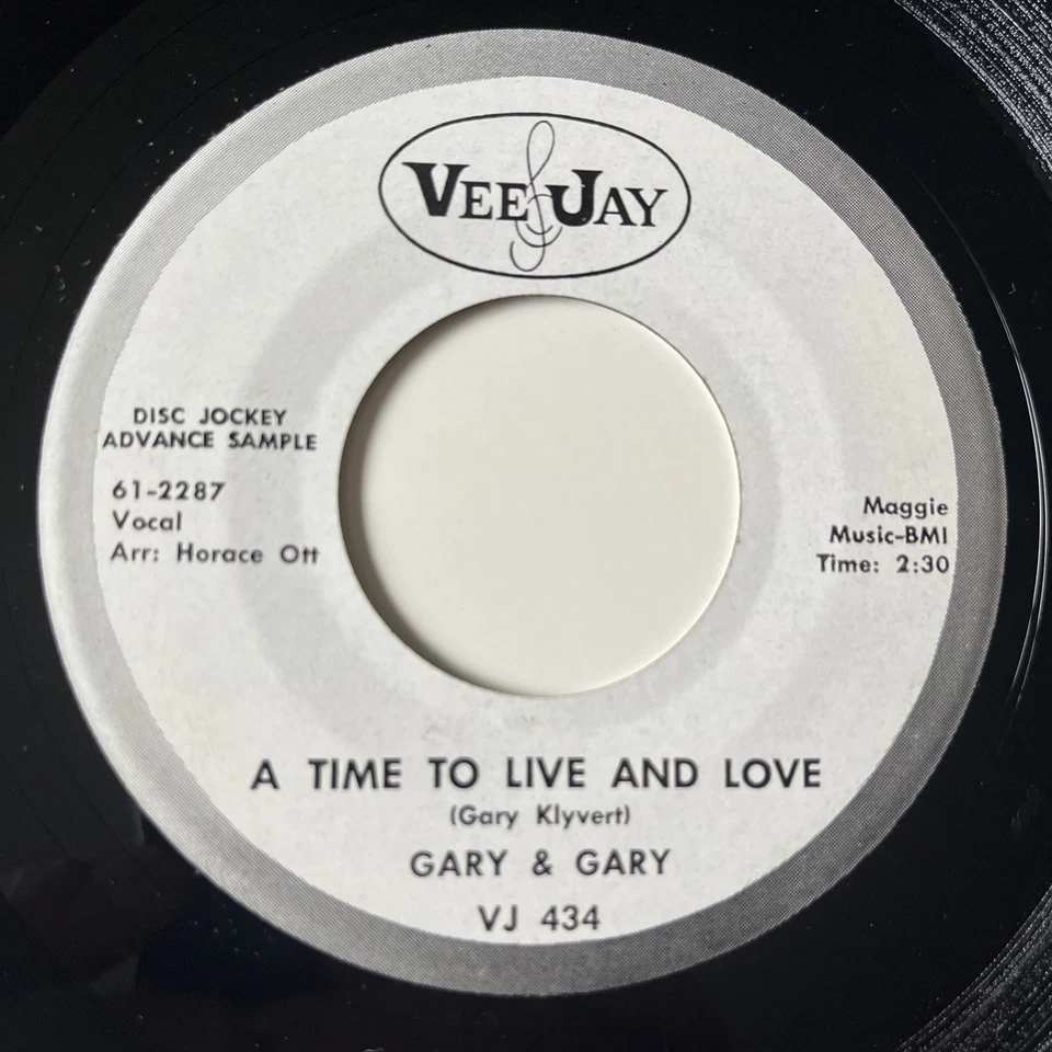 Gary & Gary – Bustin' Loose / A Time To Live And Love VEE JAY PROMO 1962 R&B NM Foto 2 de 4