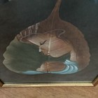 Picture 6 of 13