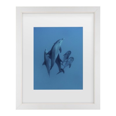 Framed Wall Art - Romano Molinari 'Dolphins 6' Wall Decor with Matted Frame