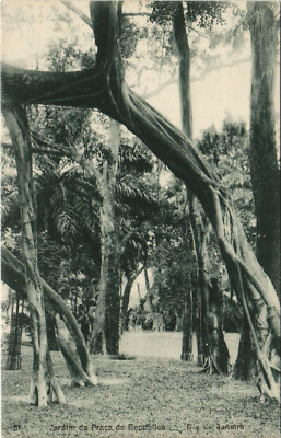 PC BRAZIL RIO DE JANEIRO JARDIM DA PRACA DA REPUBLICA Vintage Postcard(b36155)