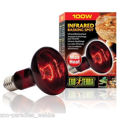 Exo Terra Heat Glo 100 W Infrarot Terrarium Wärmelampe - Heizlicht - PT2144