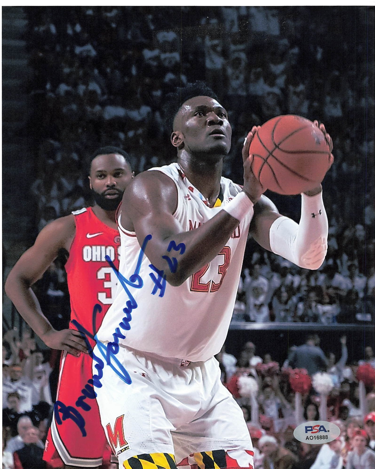 Bruno Fernando signed 8x10 photo PSA/DNA Maryland Terrapins Autographed 