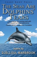 Djelloul Marbrook | The Seas Are Dolphins' Tears | Taschenbuch | Englisch (2018)