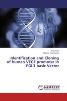 Identification And Cloning Of Human Vegf Promoter In PGL3 Basic Vector Buch 2014