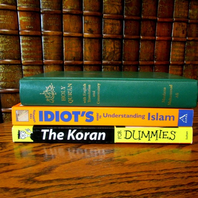 Holy Qur'an (Ali); Koran for Dummies; Idiot's guide to understanding