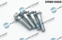 Dr. Motor Automobil DRM01066S Schraube, EinspritzdüSenhalter FüR Ford
