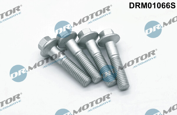 Dr. Motor Automobil DRM01066S Schraube, EinspritzdüSenhalter FüR Ford-image