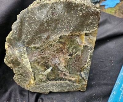 Thunder Egg w/ Multicolored Moss Inclusions XL Specimen (10lbs 14oz)