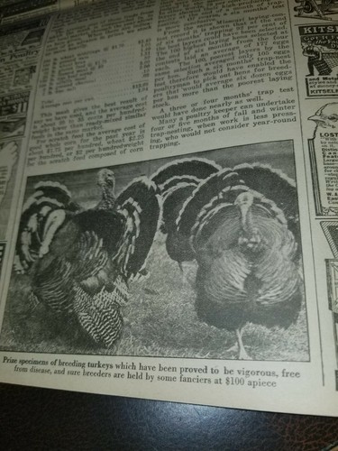 FARM and FIRESIDE The National Farm Paper 1917 - 第 4/6 張圖片
