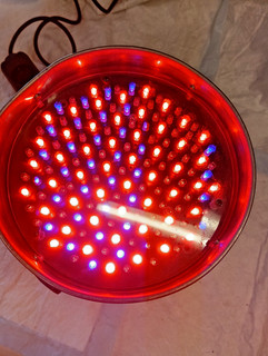 Eurolite LED PAR 56 RGB 5mm Short silber Led Spot Discolight