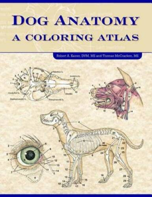 #ad Dog Anatomy: A Coloring Atlas Spiral bound By Kainer Robert VERY GOOD $33.32