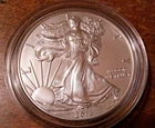 2013 Walking Liberty American Fine Silver Eagle 1 Troy Oz. Dollar MS Capsulated