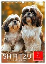 Shih Tzu - immer im Mittelpunkt (Wandkalender 2026 DIN A3 hoch), CALVENDO Monats